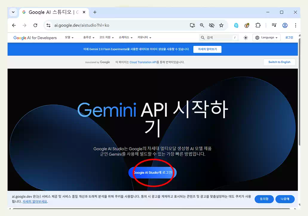 구글 Gemini 2.0 무료 이미지 생성 AI 사용법과 설정 방법 2 구글 Gemini 2.0_구글 제미나이 2.0_1Gemini 2.0 사이트