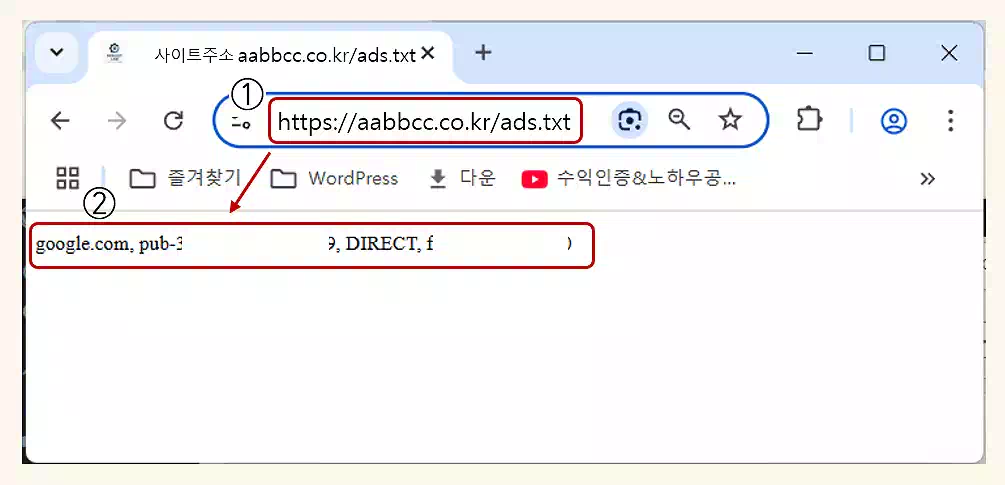 워드프레스 ads.txt 찾을수없음? 광고 수익 0원 문제 해결 가이드 10 워드프레스 Ads.txt 찾을수없음_익스플로러에서 확인