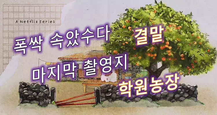 폭싹 속았수다 결말_배너