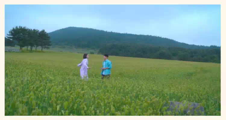 폭싹 속았수다_유채밭