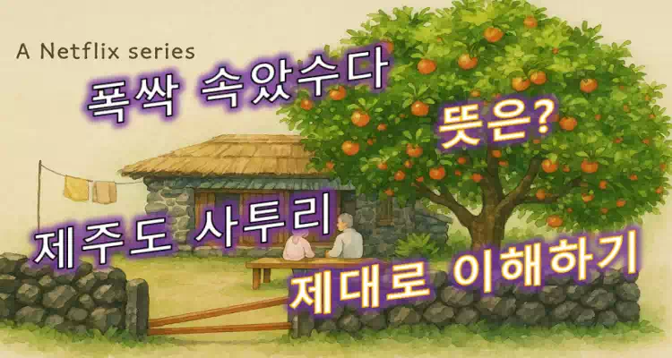 폭삭 속았수다 뜻_배너