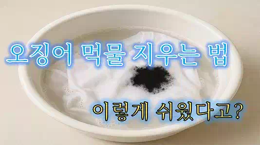 오징어 먹물 지우는 법_배너