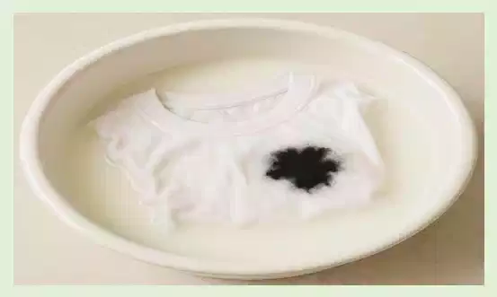 오징어 먹물 지우는 법, 먹물 지우기 이렇게 쉬웠다고? 3 오징어 먹물 지우는 법_우유