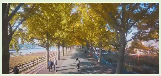 2025 tvN 견우와 선녀 드라마 완전정복 - 몇 부작, 촬영지, 글로벌 전략 정리 4 02견우와 선녀 드라마_몇 부작_촬영지_첫회_자전거타고 학교가는길_교육원로 은행나무길