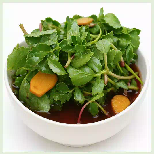 04한국 사찰 음식 레시피 비건 음식의 전통_방풍나물장아찌