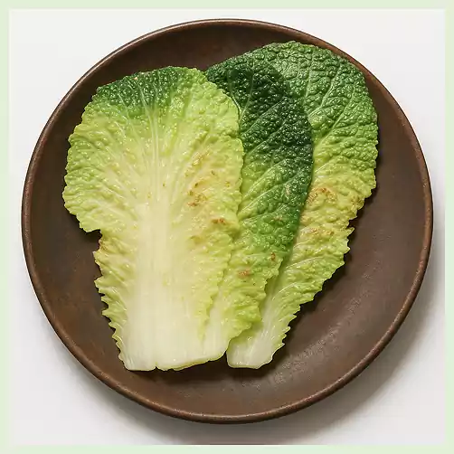 4가을철 사찰음식 레시피 모음_배추전