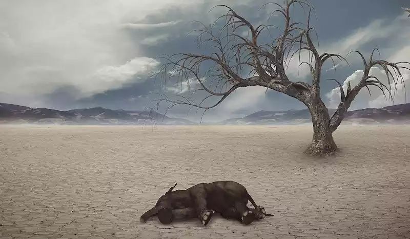 지구온난화 심각성 : 원인, 해결책, 그리고 우리가 할 수 있는 일 2 지구온난화_원인 해결책_우리가 할 수 있는 일_1심각한지구온난화