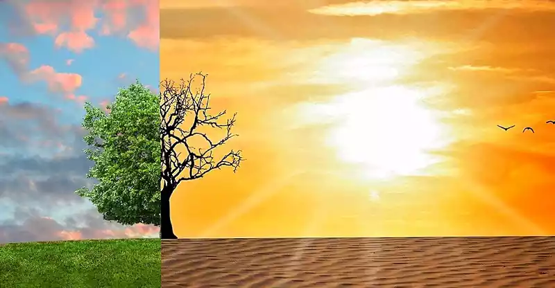 지구온난화 심각성 : 원인, 해결책, 그리고 우리가 할 수 있는 일 8 지구온난화_원인 해결책_우리가 할 수 있는 일_9기후변화