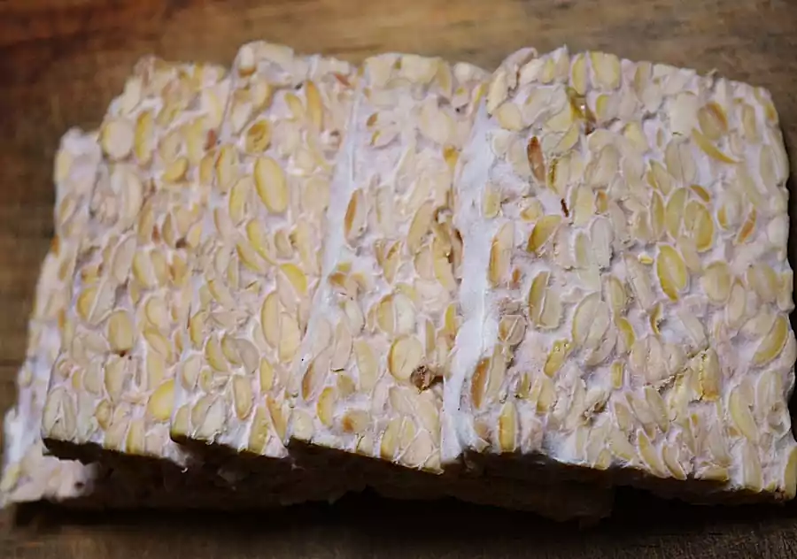 한국 음식의 발효 과학, 김치와 된장의 비밀 알아보기 3 김치와 된장의 비밀_한국 음식의 발효과학_미생물1