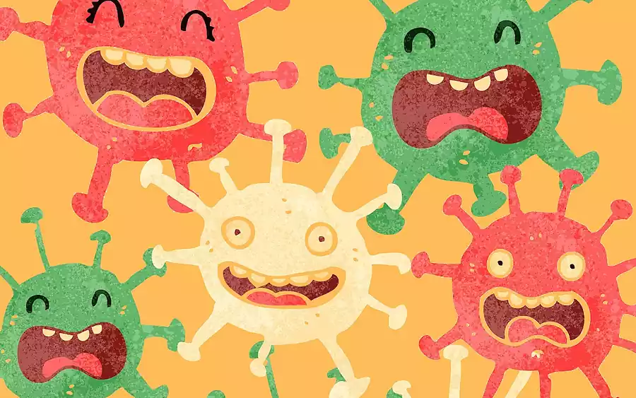 한국 음식의 발효 과학, 김치와 된장의 비밀 알아보기 6 김치와 된장의 비밀_한국 음식의 발효과학_미생물4