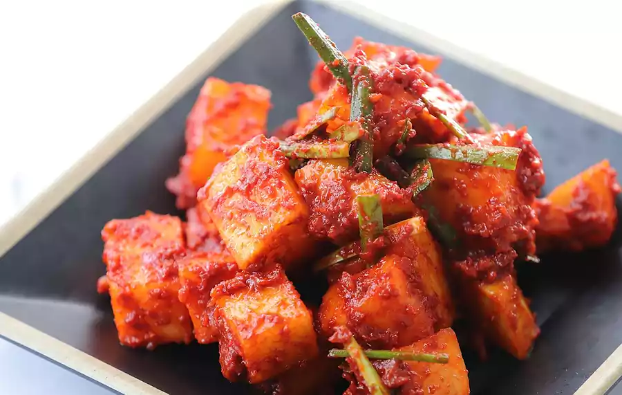 김치와 된장의 비밀_한국 음식의 발효과학_음식1