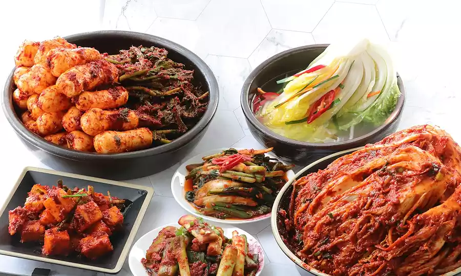 김치와 된장의 비밀_한국 음식의 발효과학_음식4
