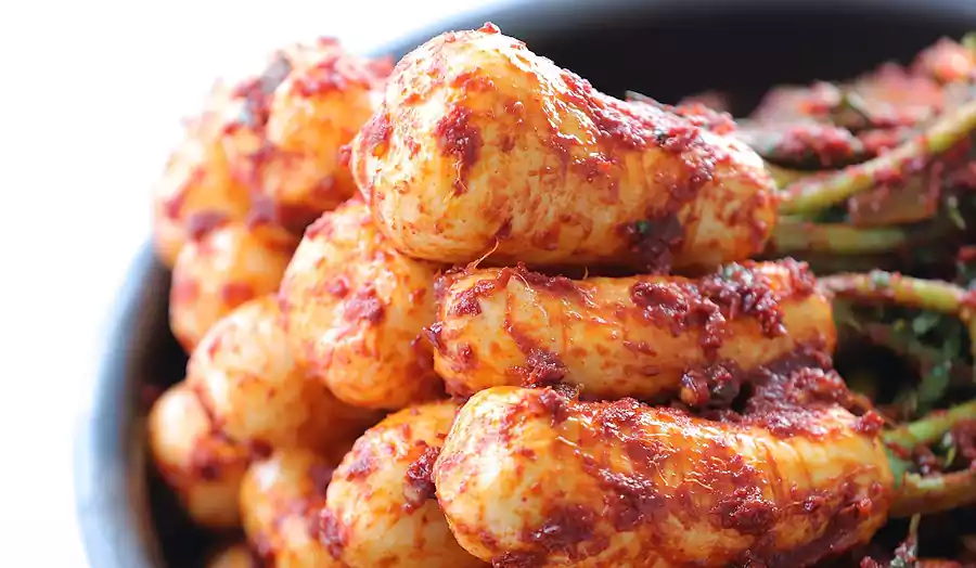 김치와 된장의 비밀_한국 음식의 발효과학_음식5