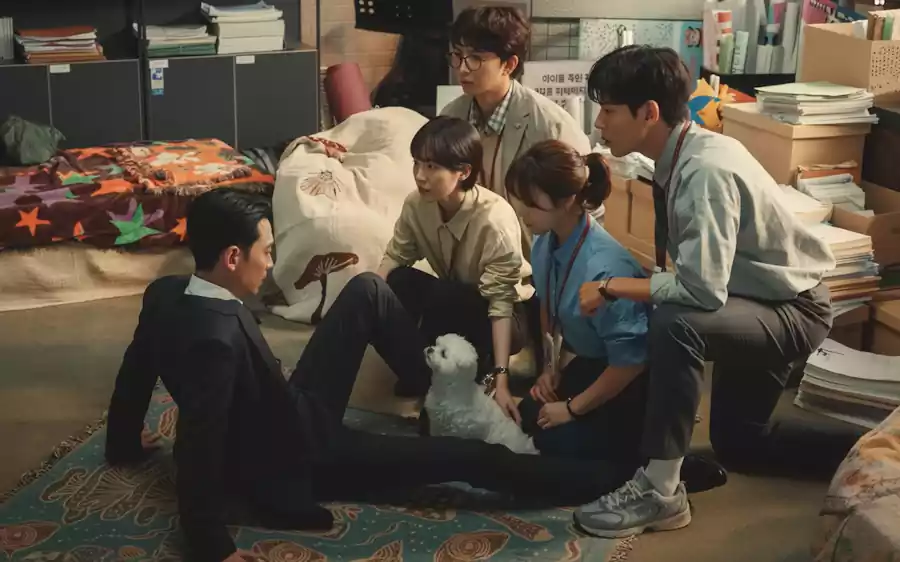 2025 TVN 드라마 프로보노 출연진, 프로보노 뜻, 프로보노 몇 부작, 줄거리, 인물관계도 알아보기 3 프로보노 출연진_프로보노 뜻_프로보노 몇 부작_2프로보노팀1