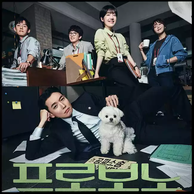 프로보노 출연진_프로보노 뜻_프로보노 몇 부작_배너