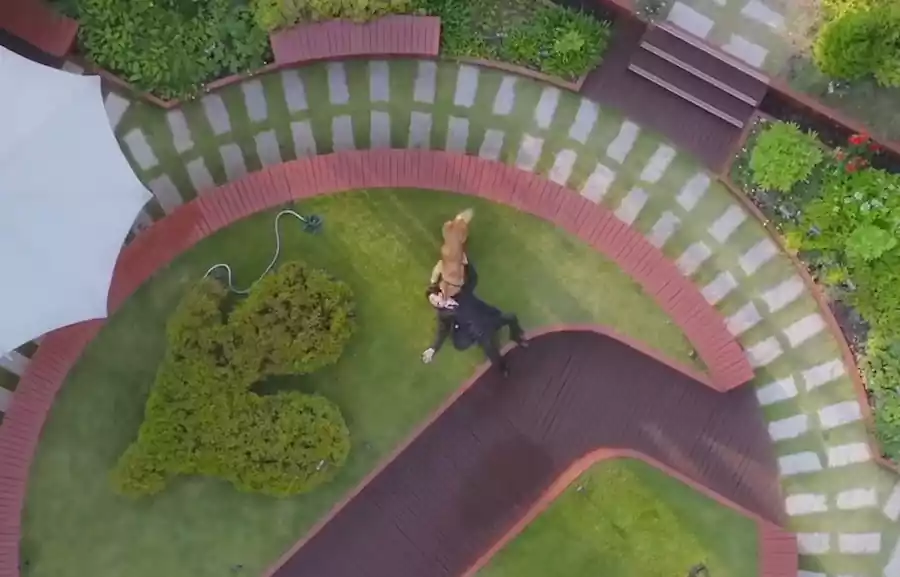 프로보노 출연진_프로보노 뜻_프로보노 몇 부작_사진4