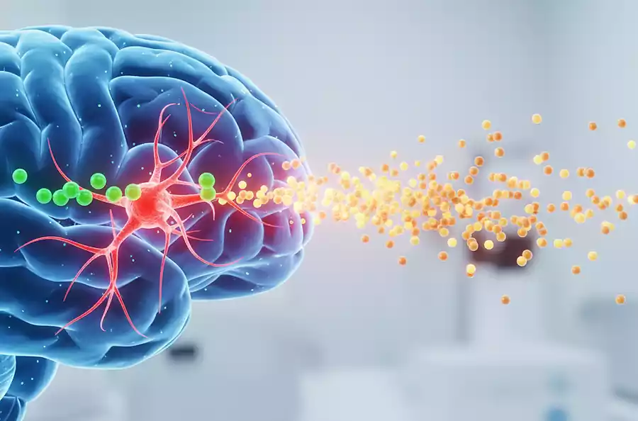 한국인의 커피 사랑, 카페인이 뇌에 미치는 영향 알아보기 4 한국인의 커피 사랑_카페인이 뇌에 미치는 영향_도파민분비촉진