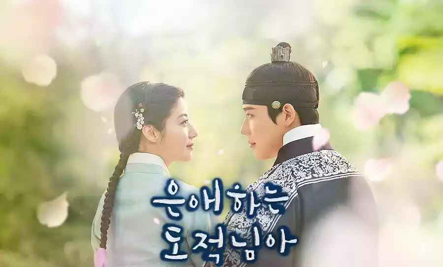 2025년 말 ~ 2026년 초 방영 드라마 라인업 분석 관전평|UDT·프로보노·아이돌아이·판사 이한영·은애하는 도적님아 총정리 7 2025년 말 ~ 2026년 초 방영 드라마_관전평3_2은애하는 도적님아