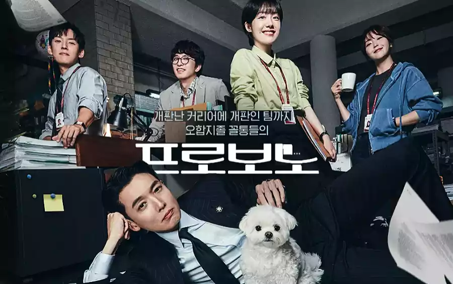 Late 2025 to Early 2026 K-Drama Lineup: A Closer Look at UDT, Pro Bono, Idol Eye, The Judge Returns, and To My Beloved Thief 3 Late 2025 to Early 2026 K-Drama Lineup2_2ProBono