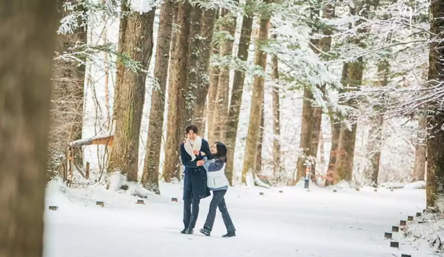 해외에서 도깨비 재유행 이유와 다시보기 포인트 지금 보면 더 선명한 감정선과 상징 11 해외에서 도깨비 재유행 이유_도깨비 다시보기 포인트6_왜 해외 인가
