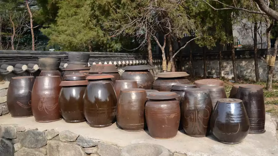 Benefits of Kimchi Fermentation: How Cabbage Becomes Probiotic Food | 김치 2 kimchi fermentation_benefits of kimchi fermentation1_Fermentation