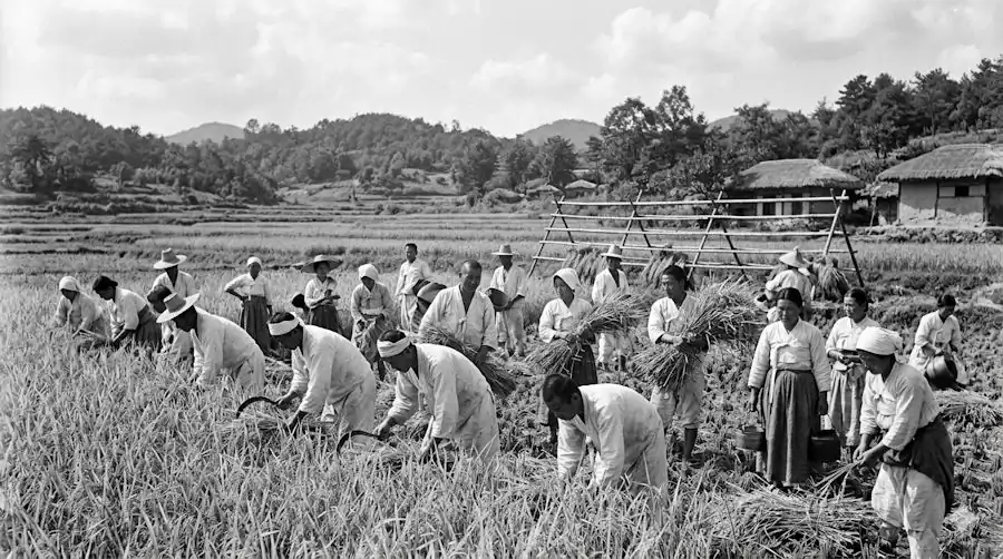 Understanding Korean Jeong A Heartwarming Guide to Korea’s Essential Cultural Heart 2 Historical representation of Korean collective society and community bonding.