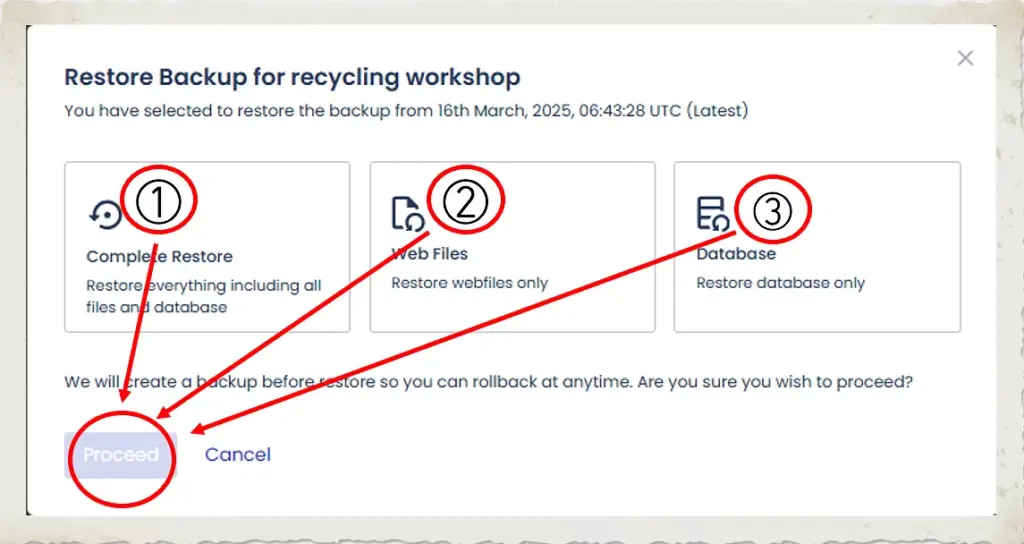 Cloudways Backup and Restore : Essential Guide for WordPress 9 Cloudways Restore Type Selection
